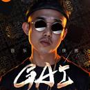 周延gai